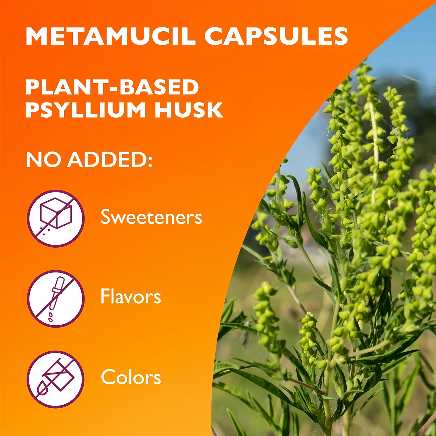 Metamucil, Psyllium Husk Capsules, 300 Capsules, 3-in-1 Fiber Supplement, Daily Psyllium Husk Fiber Capsules Help Support Digestive Health by Promoting Regularity*, Help Supplement Daily Fiber Intake